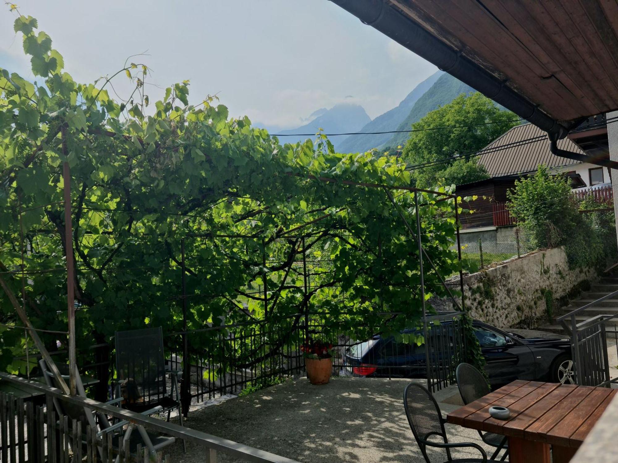 Apartments Bovec Dana Exterior photo